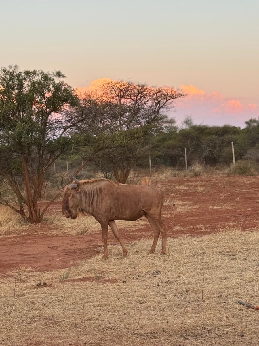 7 Bedroom Property for Sale in Groot Marico North West